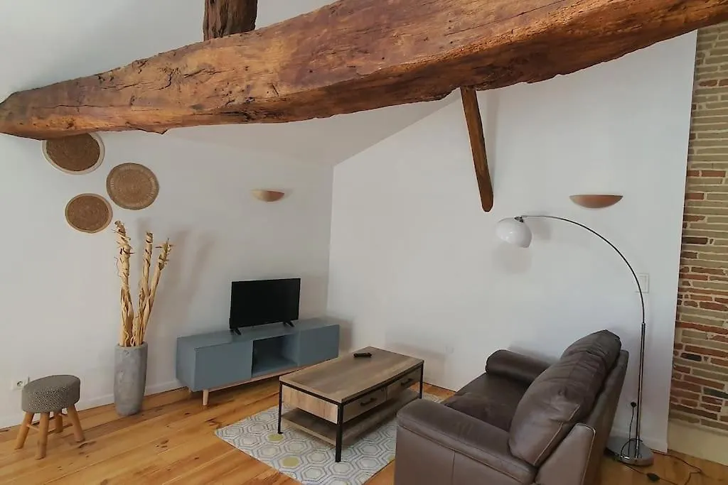 Appartement De Charme Villemur-sur-Tarn France