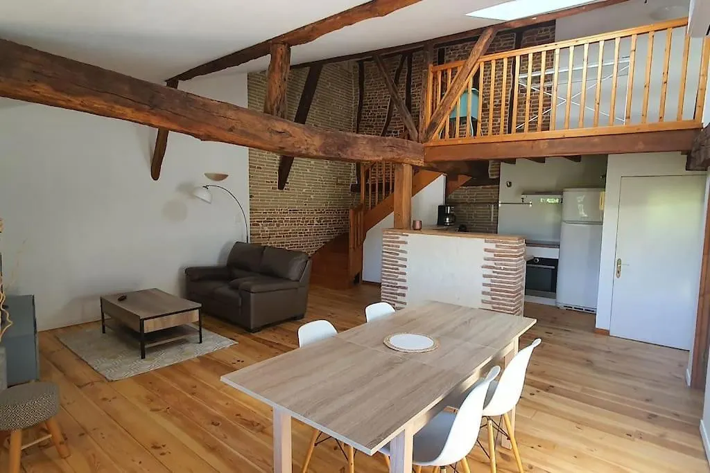 Appartement De Charme Villemur-sur-Tarn 0*,  France